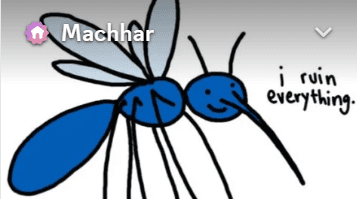 Machhars (Mosquitoes) banner